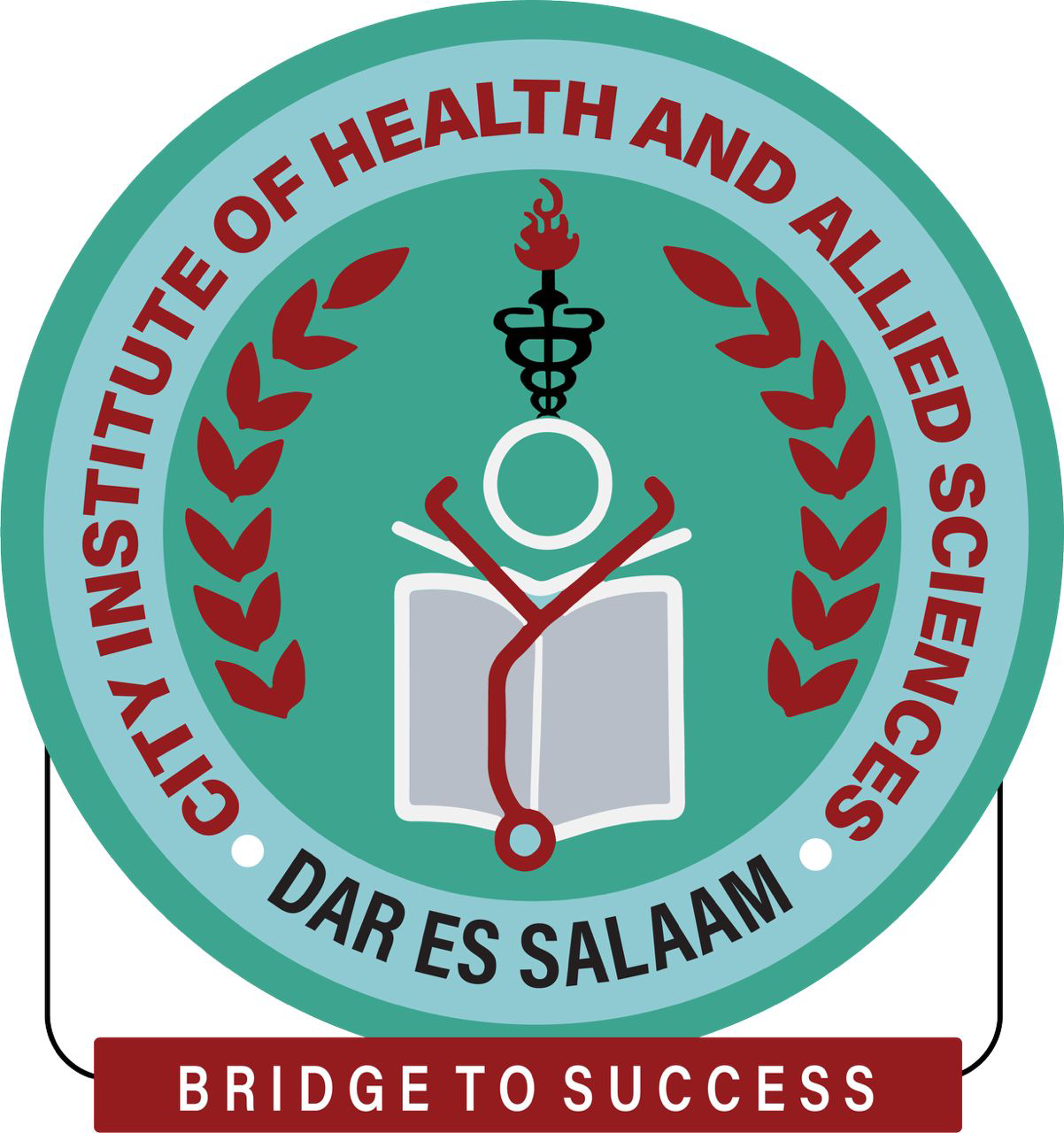 CIHAS Logo